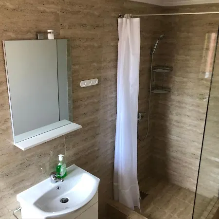 Гостевой дом Raul Костинешти