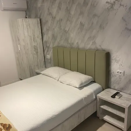 Гостевой дом Raul Костинешти